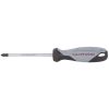 BASIC LINE screwdriver Phillips PH2 x 100 mm – 305.101.003